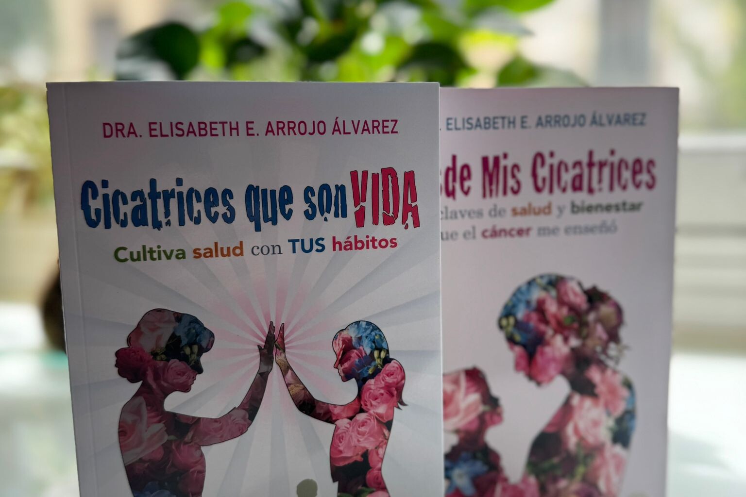 Comunicación emocional con los libros de la Dra. Arrojo_imagne destacada blog Villarrazo