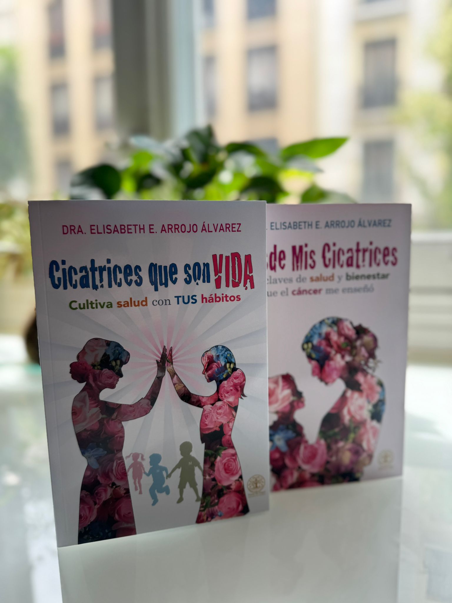 Comunicación emocional con los libros de la Dra. Arrojo_imagne destacada blog Villarrazo